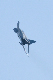 image0343