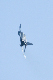 image0344