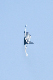 image0345