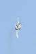 image0347
