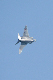 image0351
