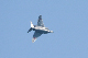 image0353