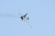 image0483