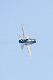 image0486
