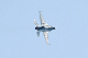 image0487