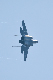 image0506