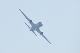 image0549