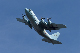 image0630