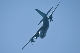 image0721