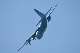 image0722