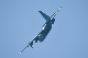 image0724
