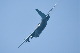 image0725