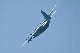 image0729