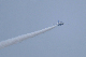 image0254