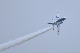 image0257