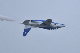 image0284
