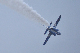 image0339