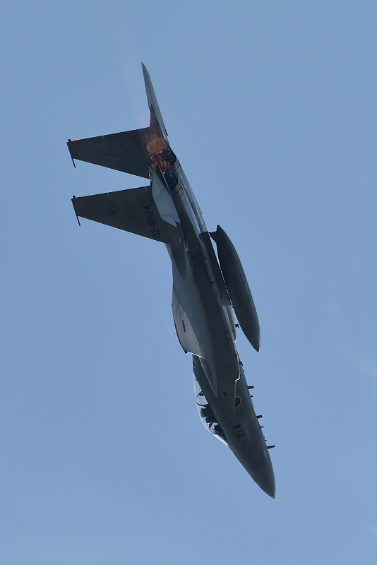 image0499