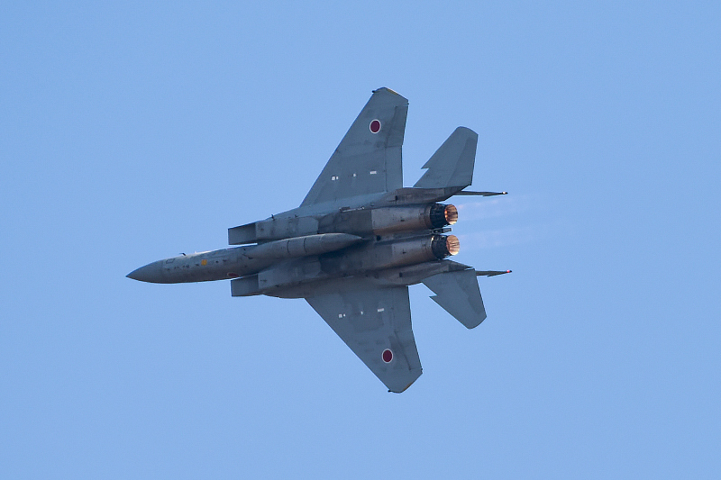 image0527