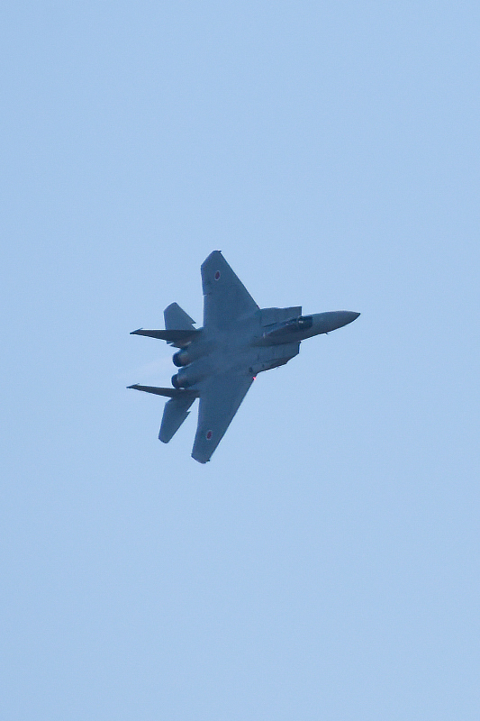 image0548