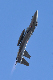 image0493