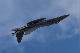 image0496