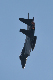 image0501