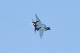 image0532