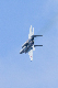 image0575