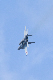 image0576