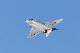 image0593