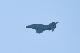 image0610