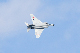 image0639