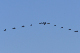 image0675