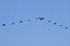 image0678