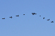 image0679