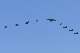 image0680