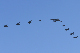 image0682