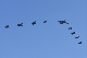 image0683