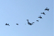 image0694