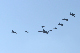 image0695