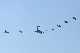 image0697