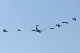 image0698