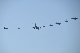 image0700