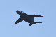 image0702
