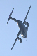 image0759