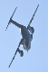 image0760