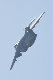 image0766