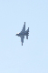 image0781