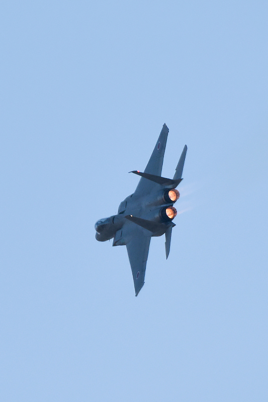 image0137